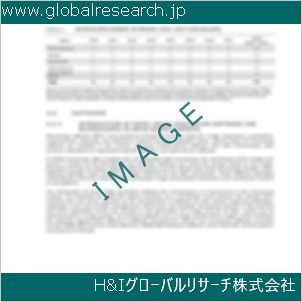 グローバルリサーチ調査資料のイメージ